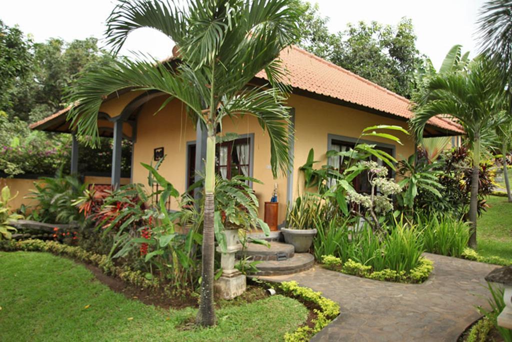 Puri Mangga Sea View Resort&Spa Lovina  Bagian luar foto