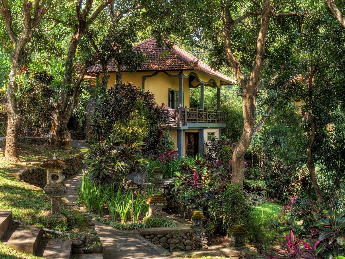 Puri Mangga Sea View Resort&Spa Lovina  Bagian luar foto
