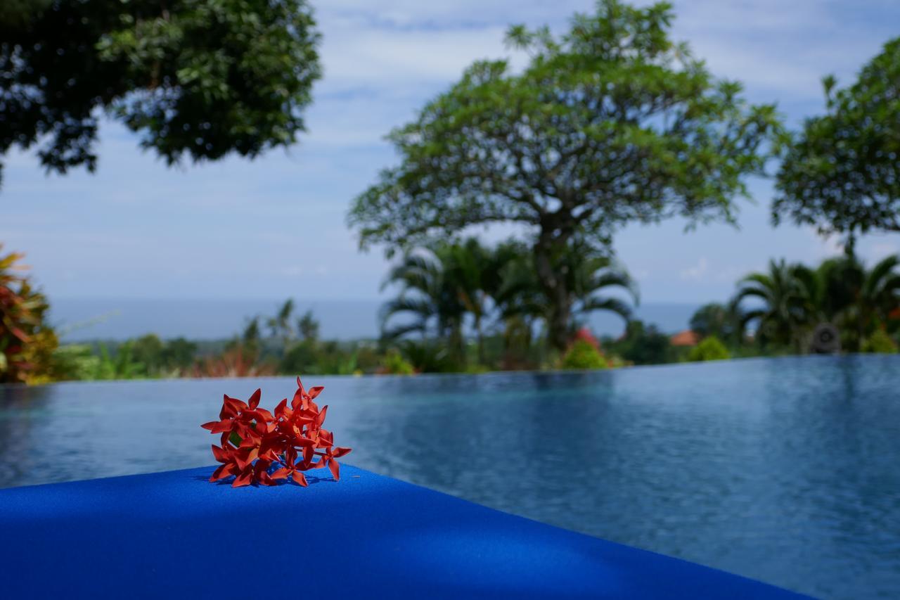 Puri Mangga Sea View Resort&Spa Lovina  Bagian luar foto